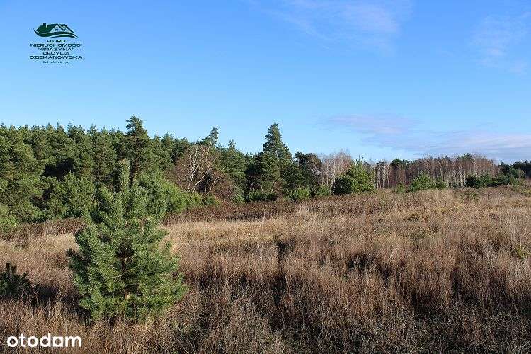 Stawki - działka duża - Pełny obrazek: 4/17