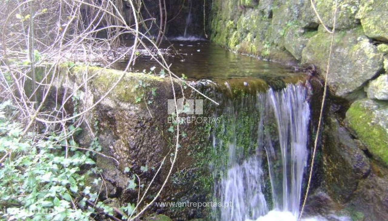 Venda Terreno, Campelo, Baião - Grande imagem: 3/5