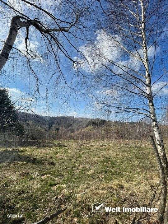 Teren cu panorama pentru cabana, Risca, Valea Fericirii - Imagine principală: 4/5