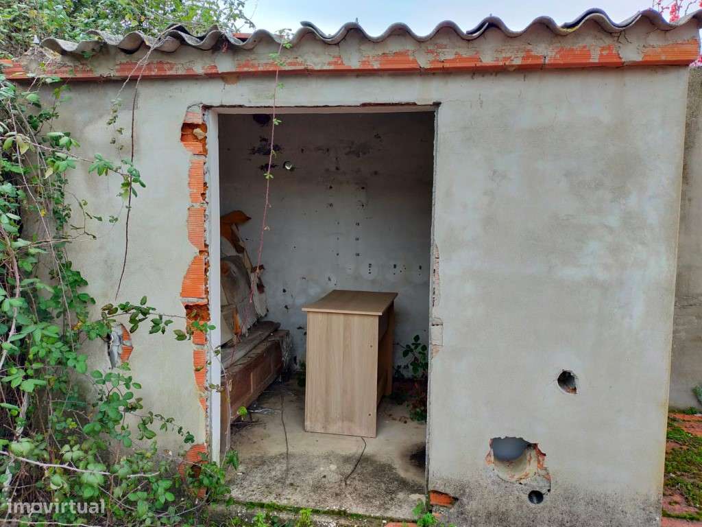 QUINTA COM 5HA DE TERRENO COM 500M2 URBANO - GALVEIAS - PONTE DE SOR-8