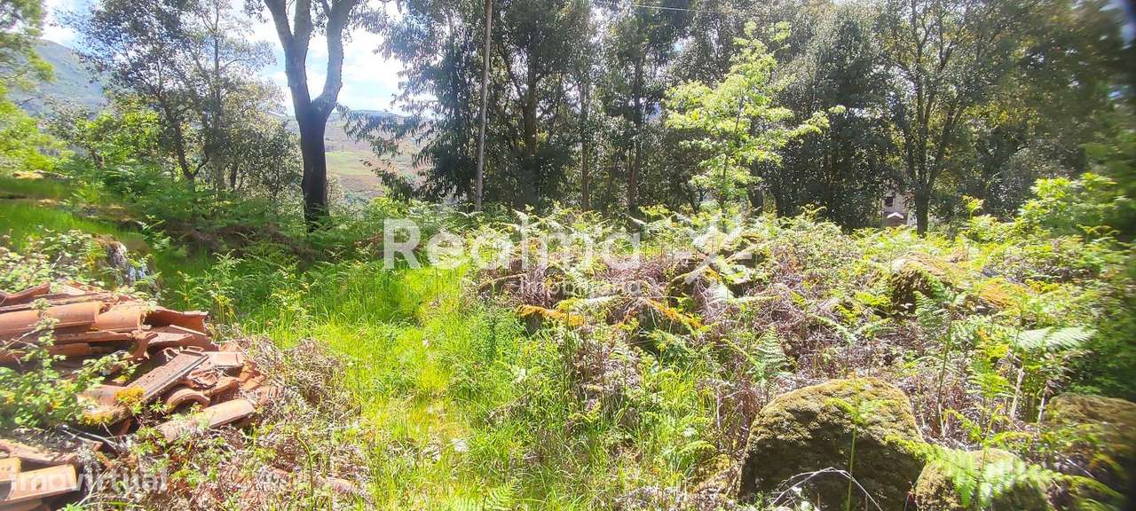 Terreno em Ruivães - Vieira do Minho p/ Construção-10