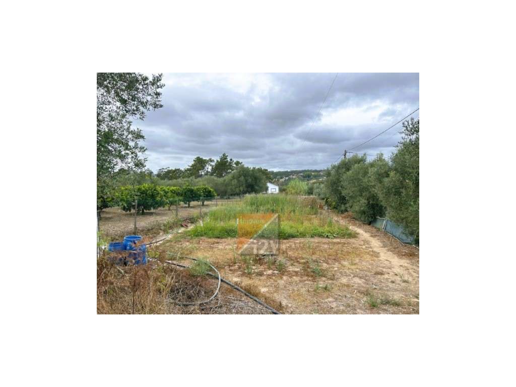 Terreno Pinheiros Leiria - 4 Moradias Com PIP/ Projeto em aprovação-22