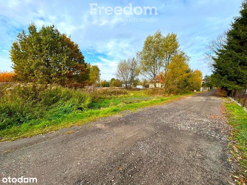 Działka 800m od stacji PKP Dębe Wielkie - Pełny obrazek: 5/6