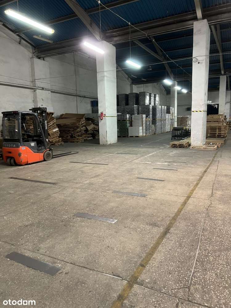 Hala magazynowa, produkcyjna 1679 m2 parter ( z rampą) - Pełny obrazek: 4/6