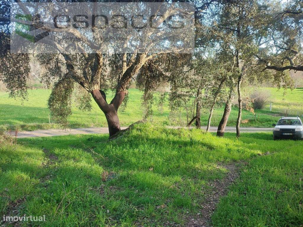 Terreno rústico, Povoa Rio Moinhos, - Grande imagem: 3/23