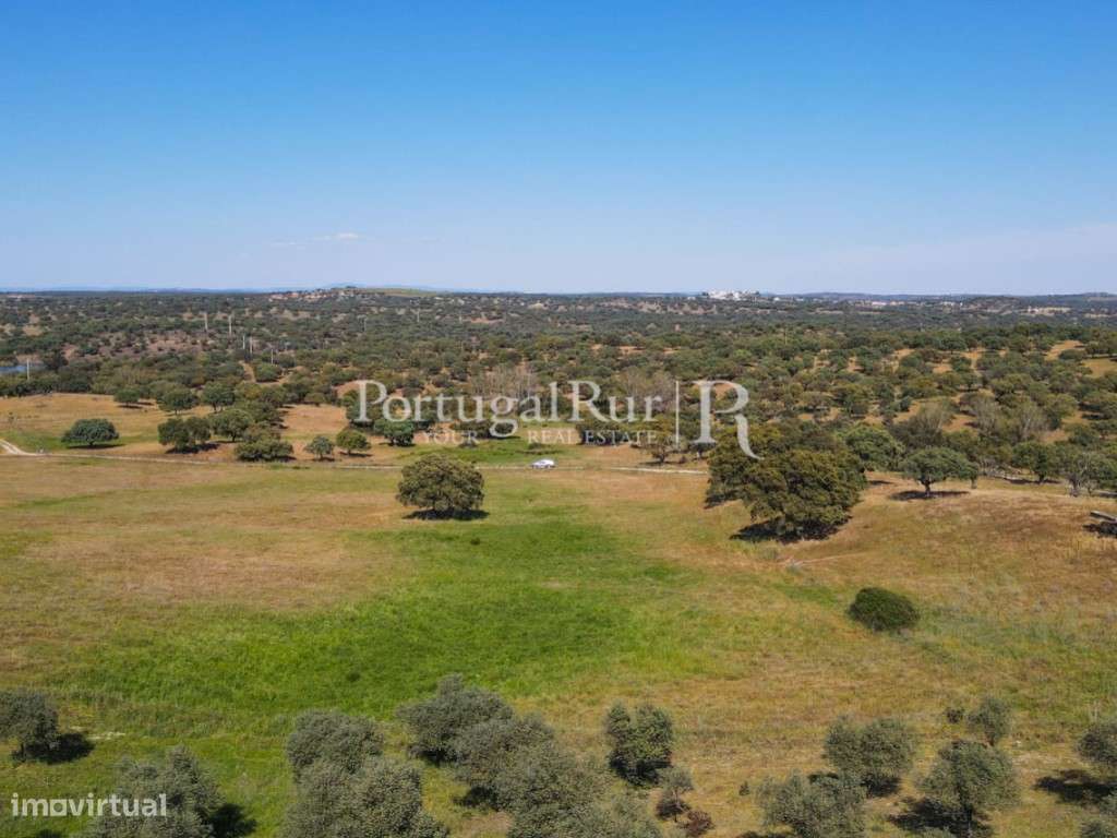 Herdade 80 hectares confinante com a Barragem-5