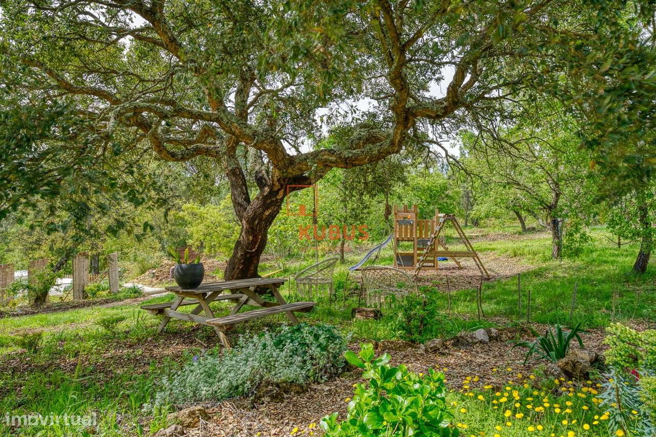 Quinta - Olival, Ourém-22