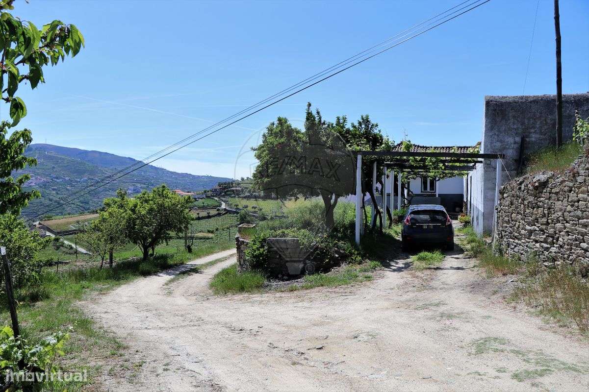 Quinta T4 para venda - Grande imagem: 5/50