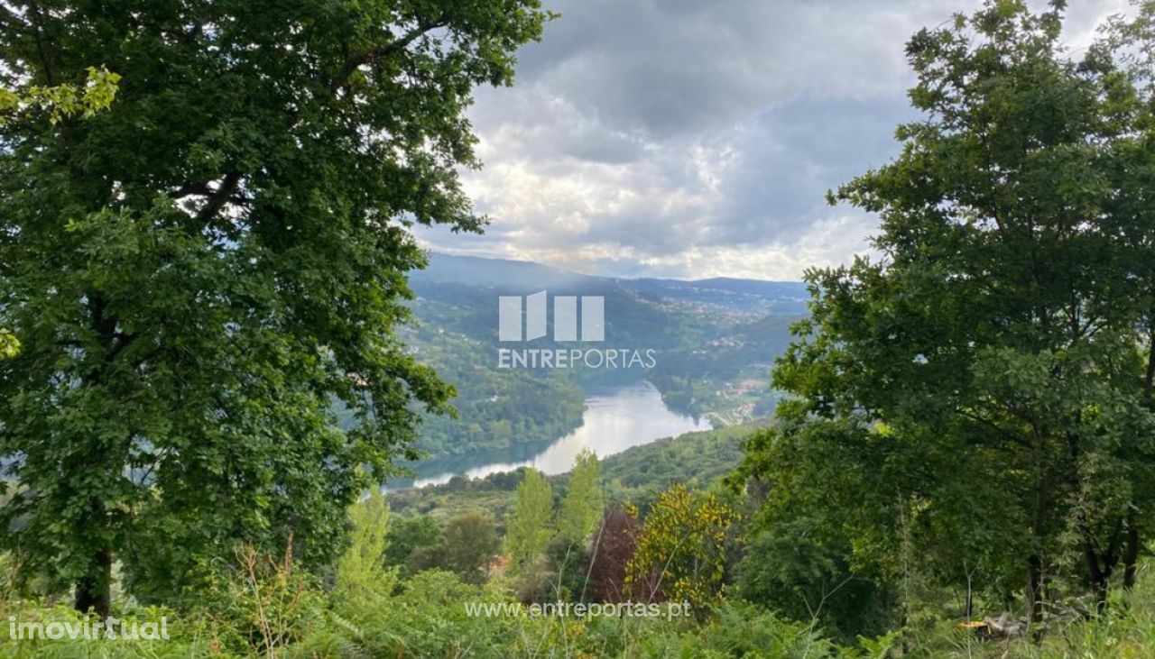 Venda Terreno com área de 8000 m2, São Lourenço do Douro, Marco de