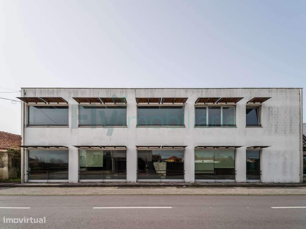 Pavilhão Industrial com Elevado Potencial de Investimento - Grande imagem: 5/51