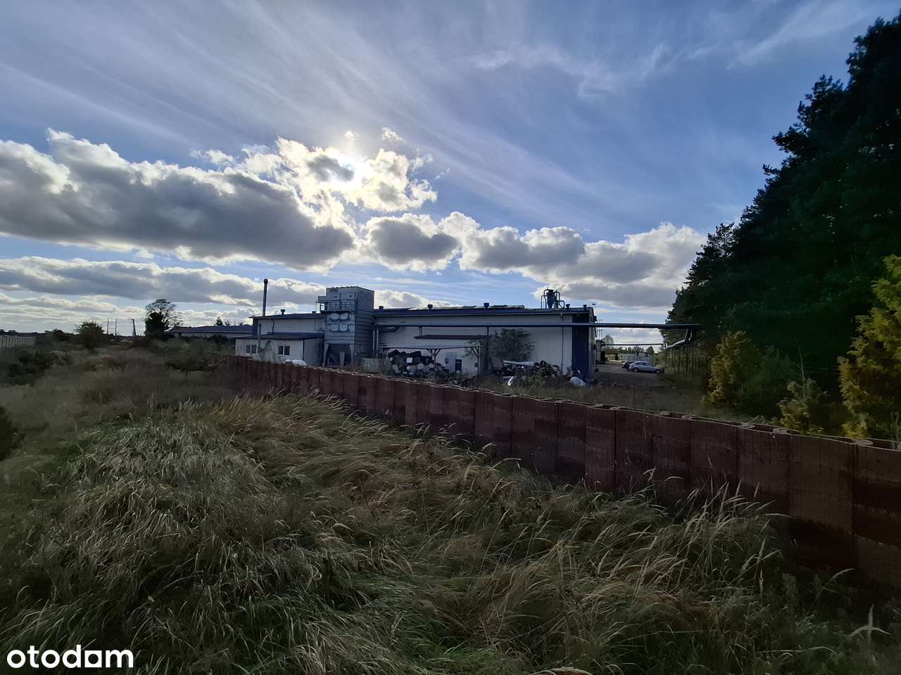 hale produkcyjne i magazyny w Dzierżowie obok Gorzowa Wielkopolskiego-17