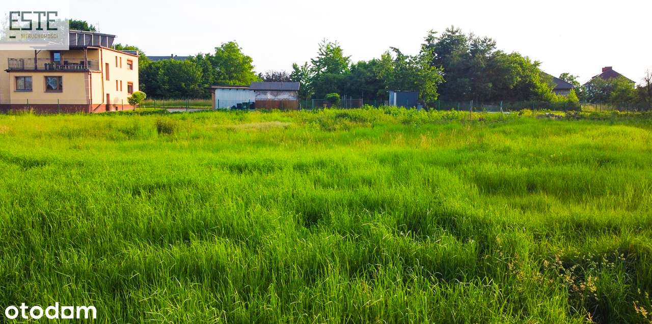 Poczuj się jak w bajce - Pełny obrazek: 4/15