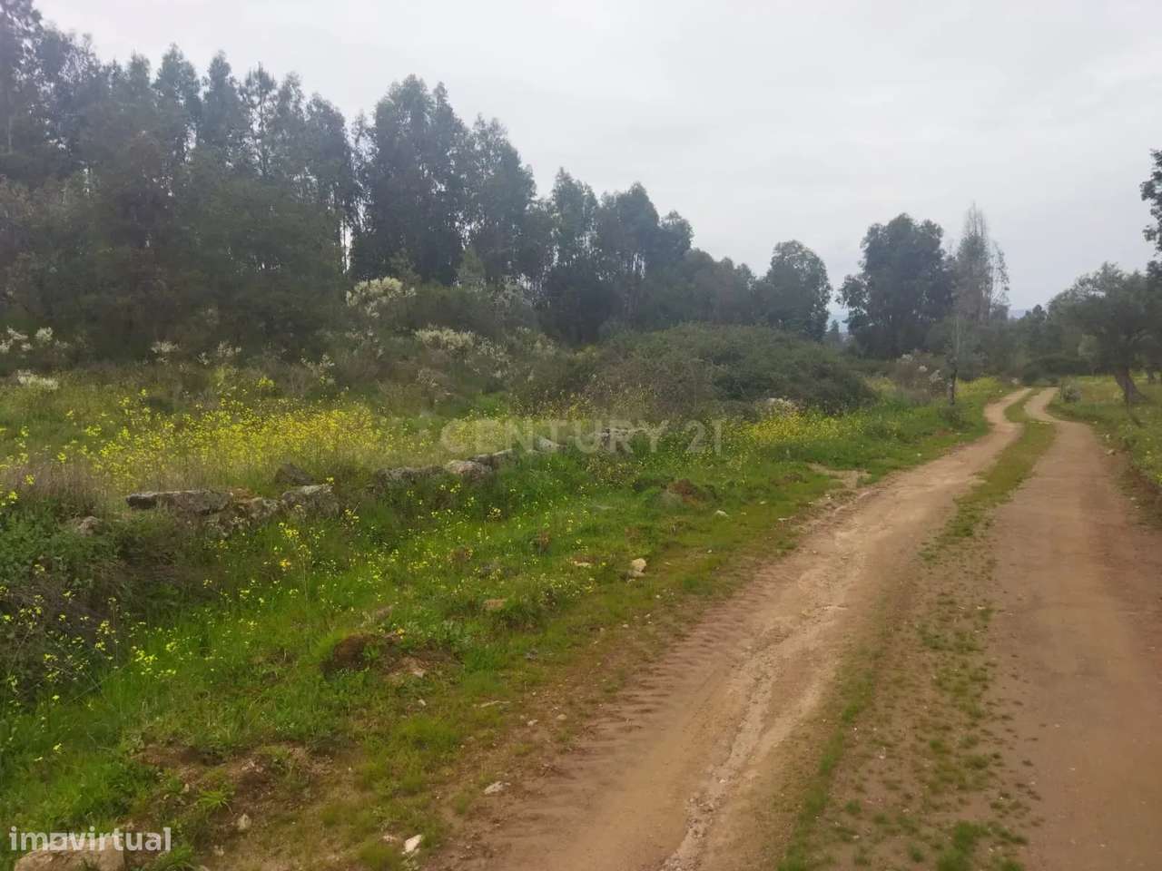 Terreno Rústico | Lousa CTB, Castelo Branco - Grande imagem: 4/10