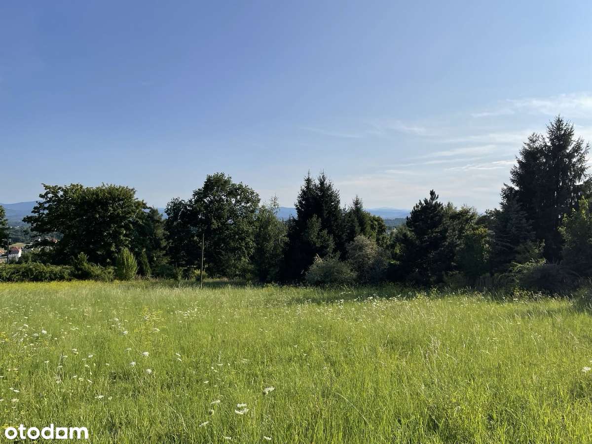 Malownicza działka z widokiem na góry i zielenią - Pełny obrazek: 5/11