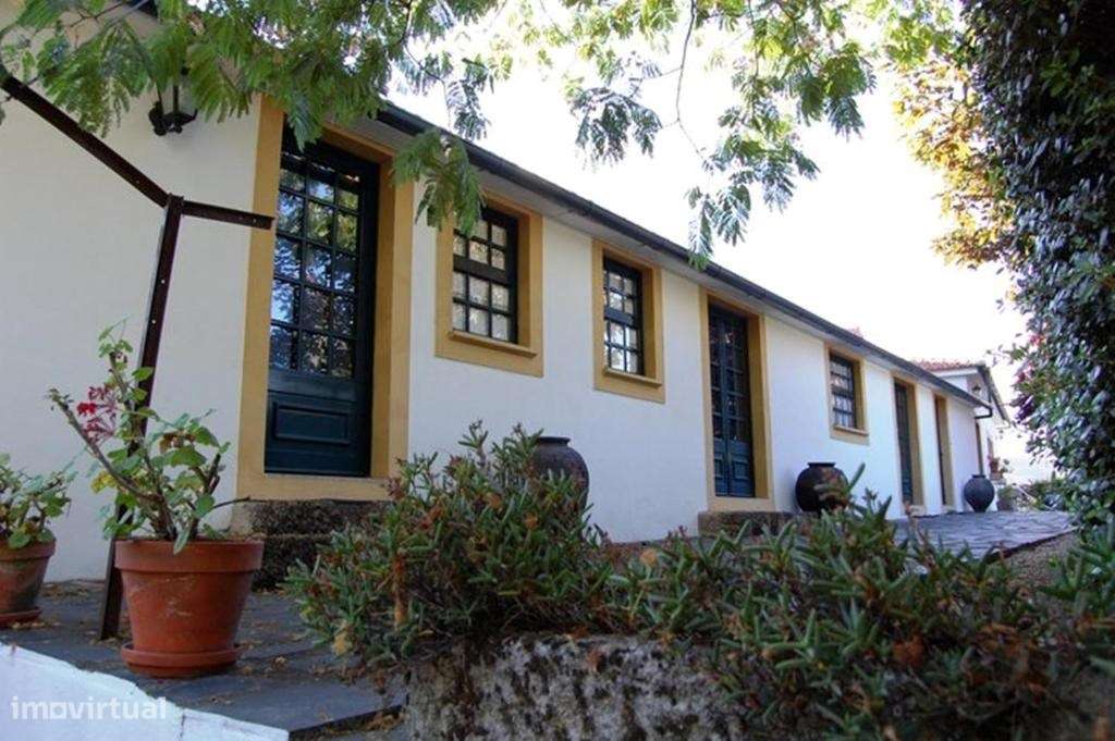 Douro Vinhateiro, Quinta Turística-12
