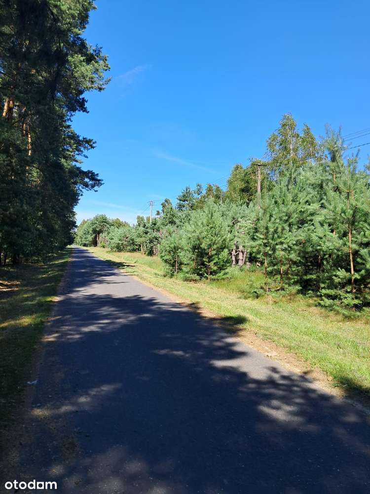 Działka budowlana o powierzchni 1686 m2, Prażuchy Nowe-0