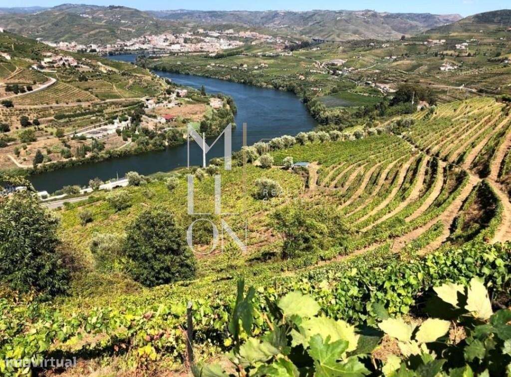 Quinta com 3 hectares e vistas desafogadas para o rio Douro-11