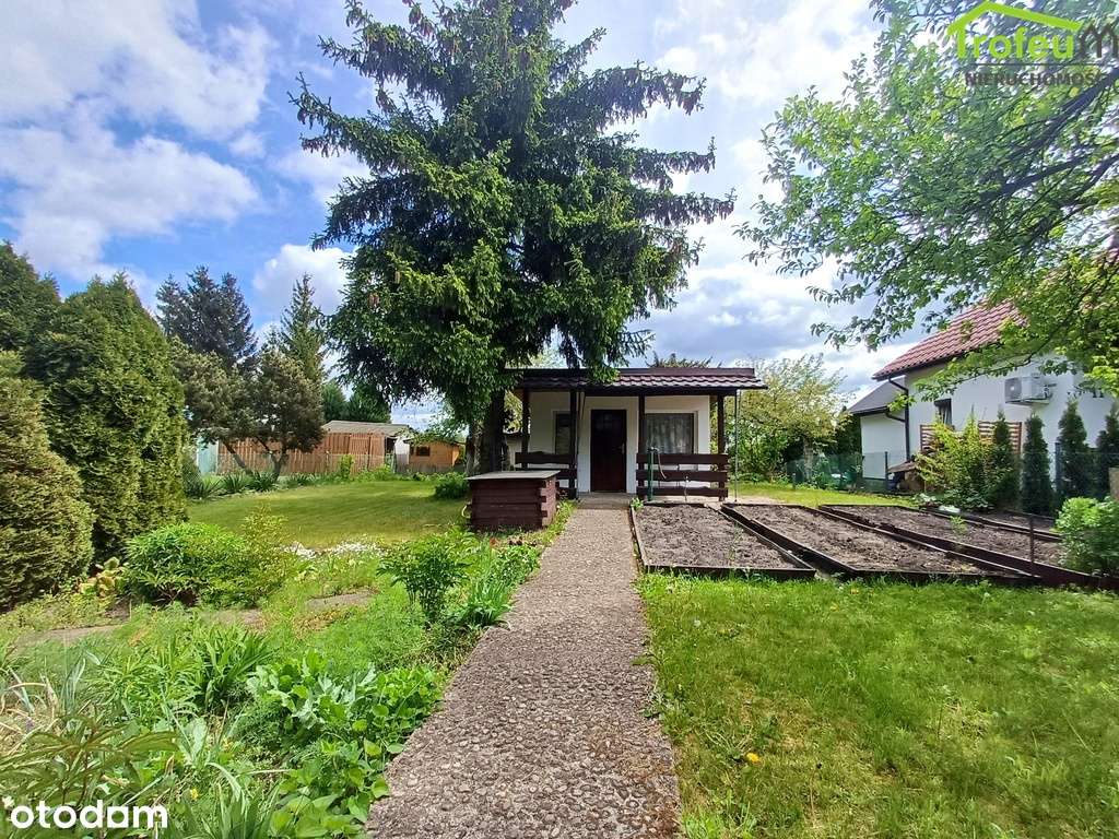 Piękna działka ROD Transportowiec - Pełny obrazek: 3/13