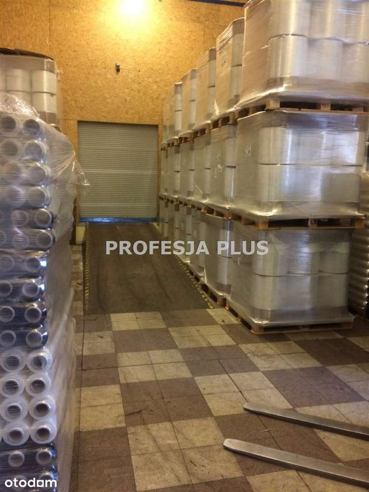 Magazyn/Hala, Chorzów, 800m2 - Pełny obrazek: 4/7