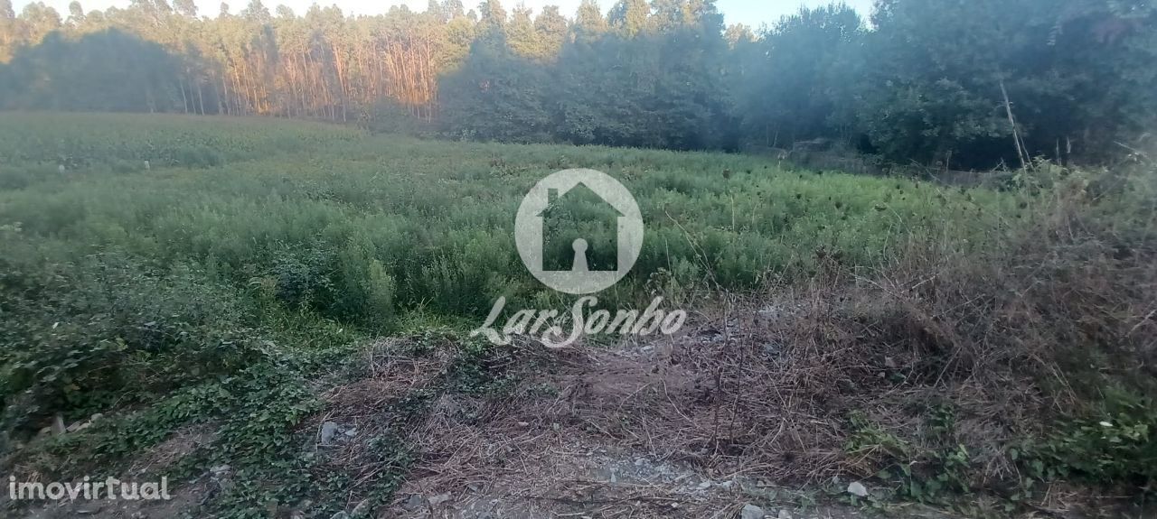 Terreno agrícola com 2.100 m2 em Ribeirão