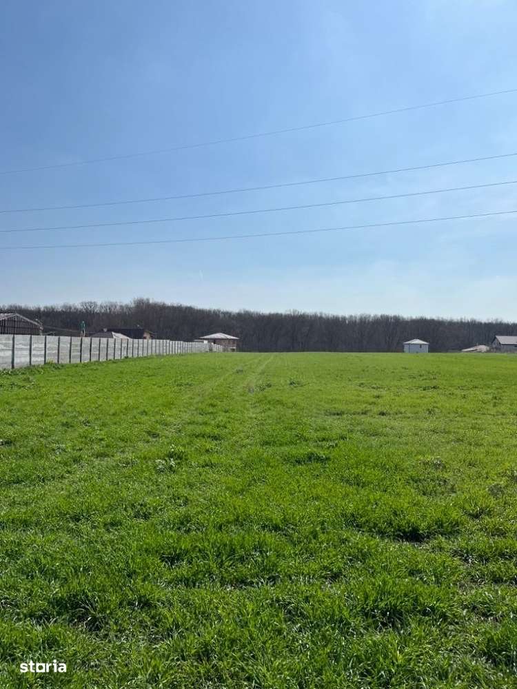 Teren vanzare Branesti, langa padure. Dubla deschidere. - Imagine principală: 2/7