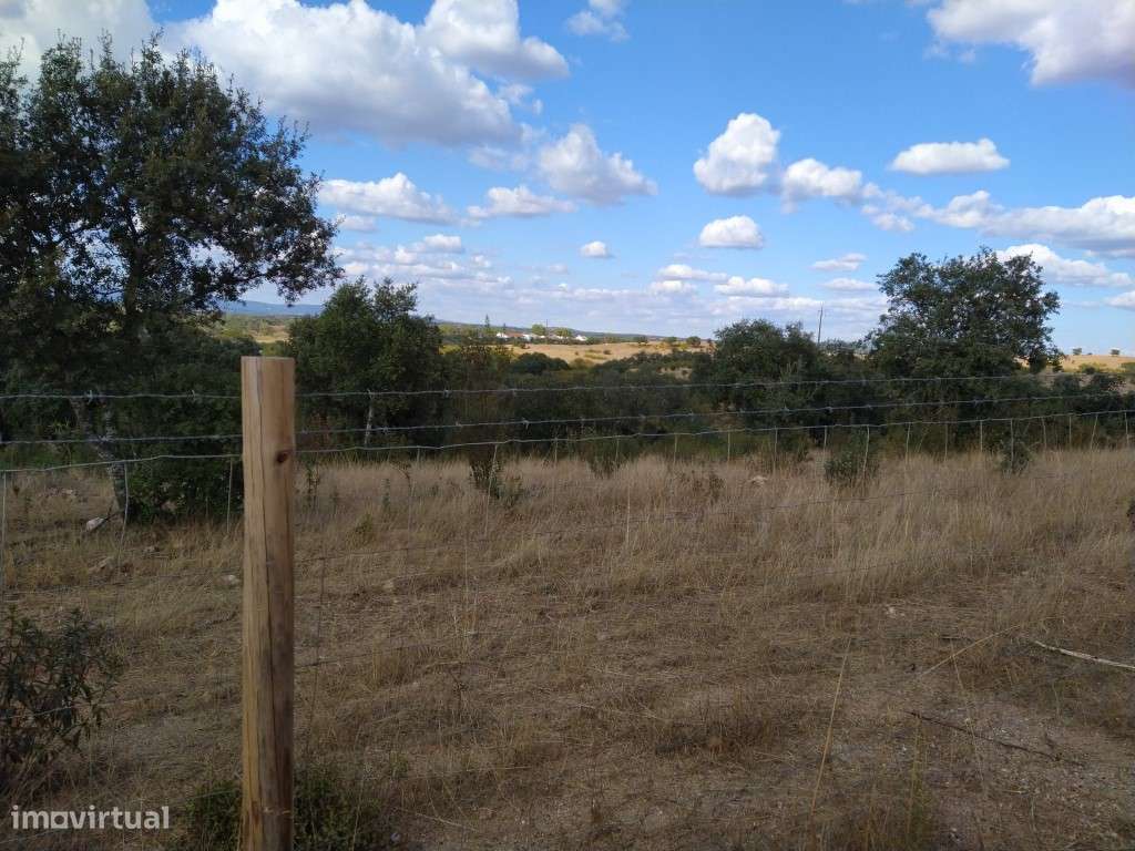 Herdade com 110 ha próximo da Vila de Redondo - Grande imagem: 4/14