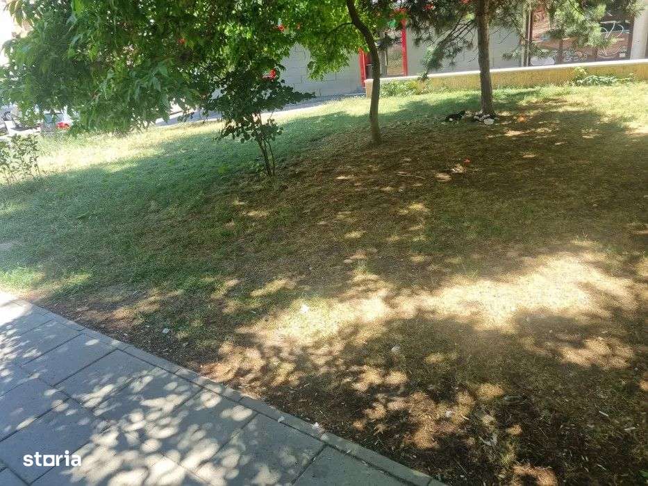 TEREN 250MP  |  CENTRAL  |  B-DUL MAMAIA - Imagine principală: 5/8