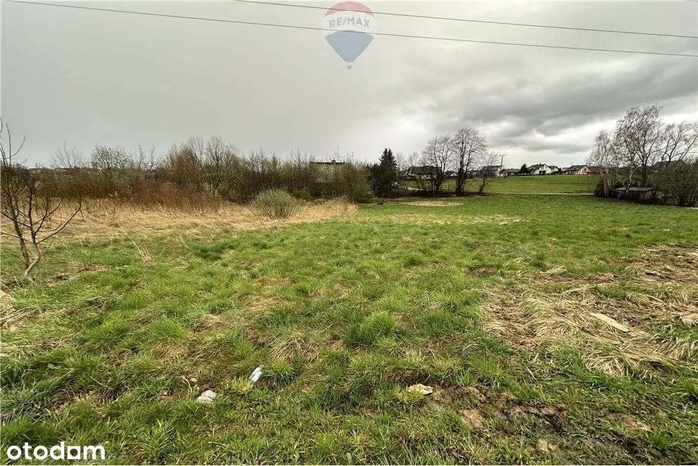 Działka w Mazańcowicach pod ogrodnictwo i uprawy - Pełny obrazek: 4/20