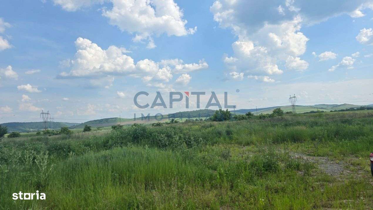 Teren de vanzare, langa Autostrada - Imagine principală: 4/5