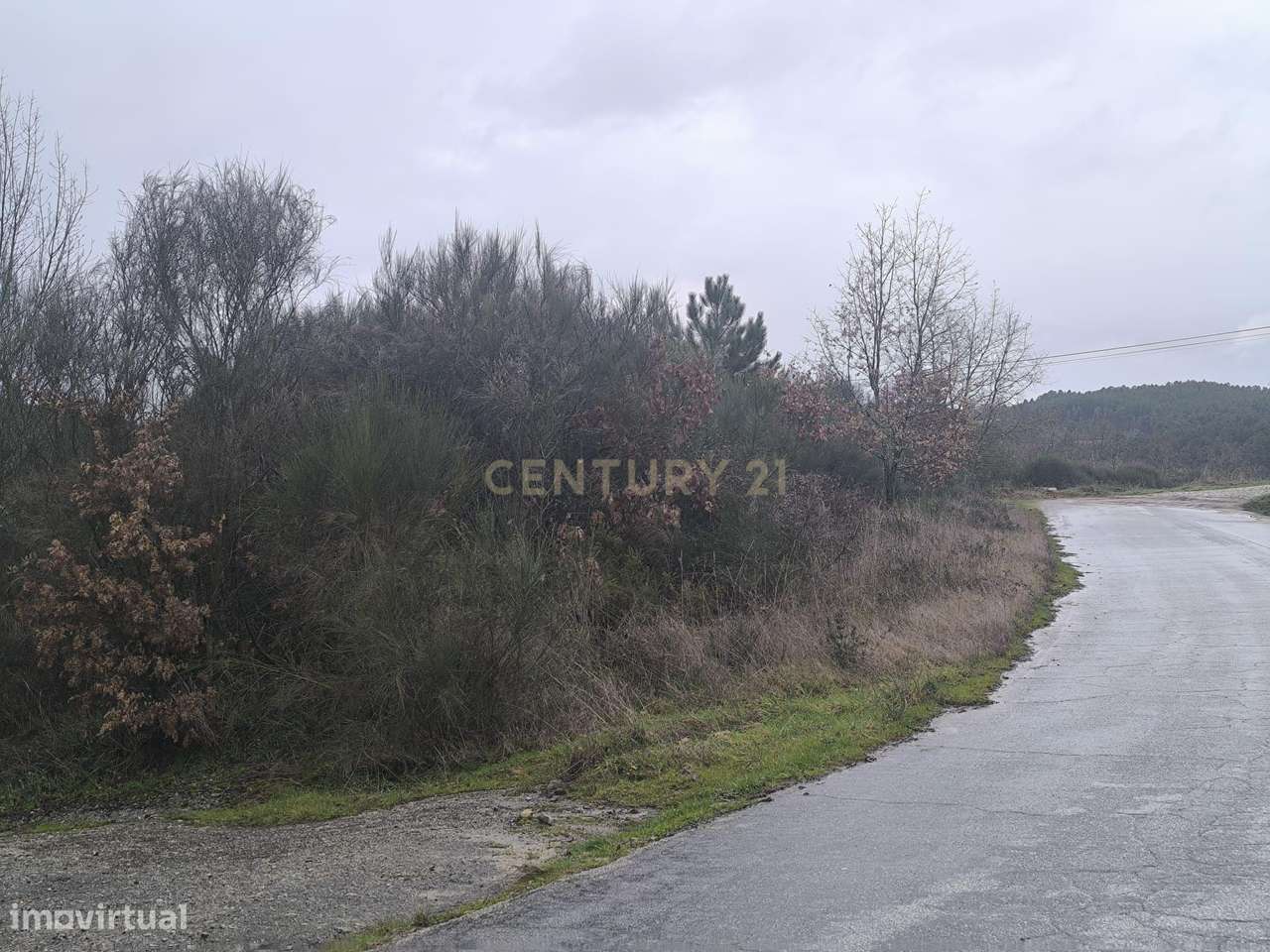 Terreno rústico com 4500 m2 , à beira da estrda Nacional 213 - Grande imagem: 5/16