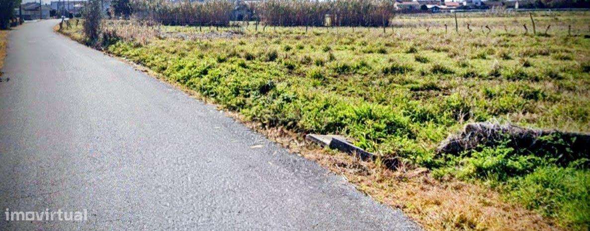 Terreno Rústico de Excelência no Troviscal – 1.836,52 m² - Grande imagem: 2/3