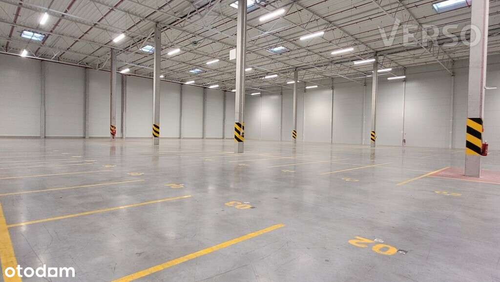 Magazyn 4050 mkw., do wprowadzenia od zaraz - Pełny obrazek: 4/8