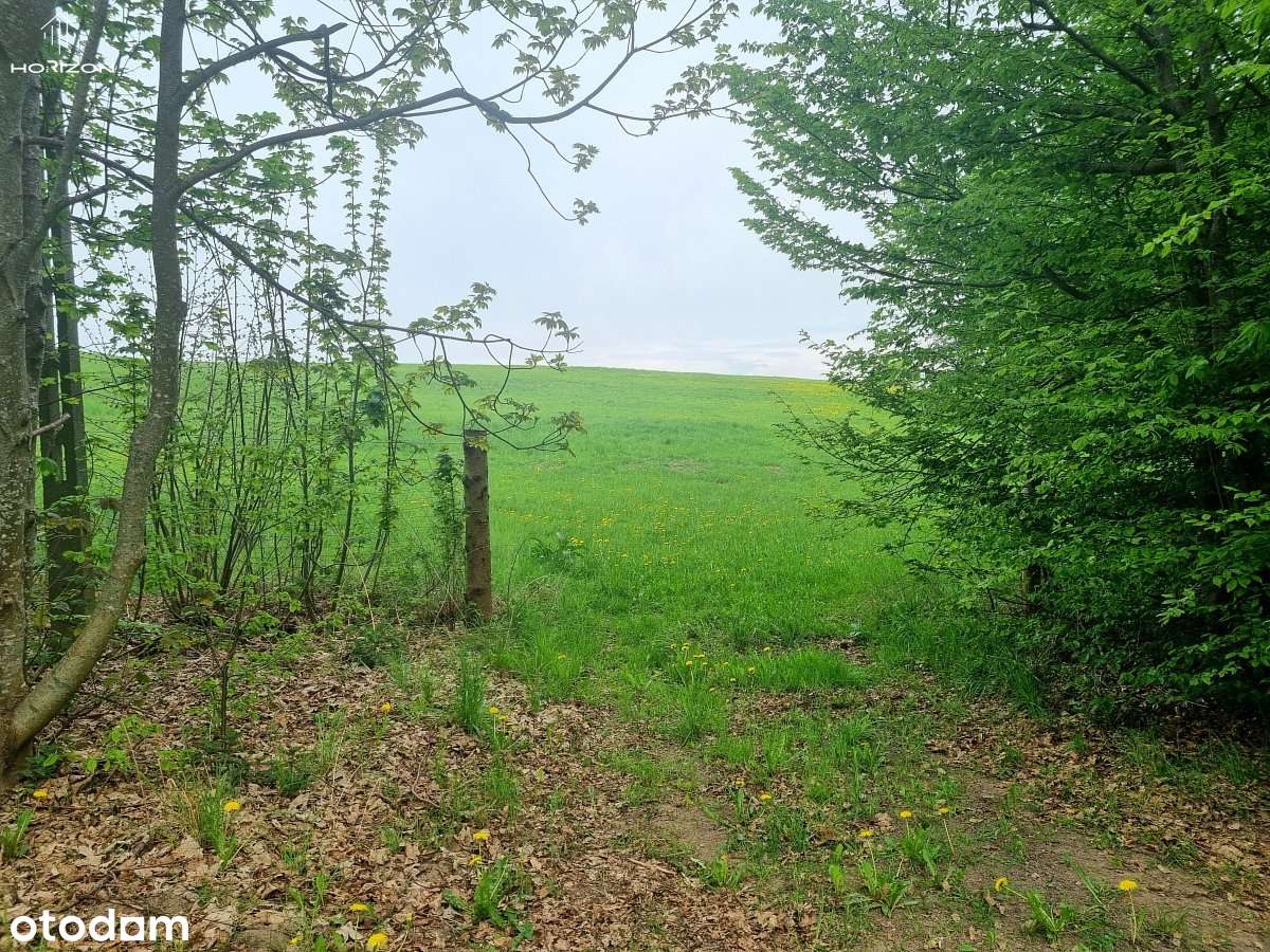 Działka budowlana z pięknym widokiem - 12 km od Kołobrzegu! - Pełny obrazek: 5/10