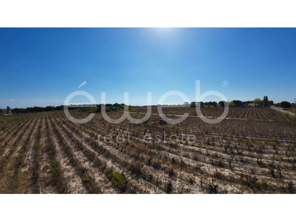 Terreno, Bairro Margaça, Águas de Moura - Grande imagem: 5/10