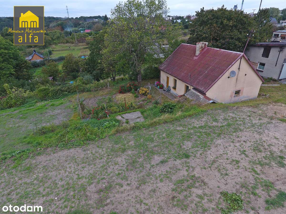 Nowe*Nowy Świat*Działka 3773m2*OD Zaraz-1