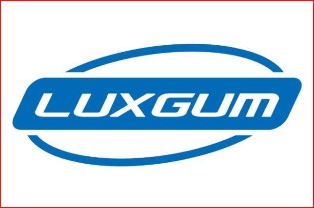 FHU LUXGUM LUCYNA SALAMON logo