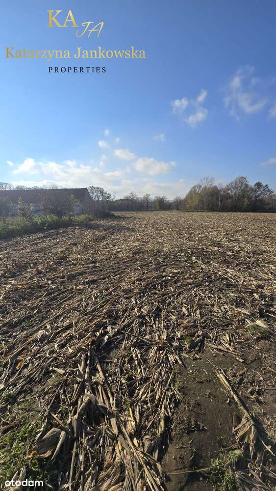 Wyjątkowa nieruchomość gruntowa na sprzedaż, Krzyżowa, gmina Świdnica-7