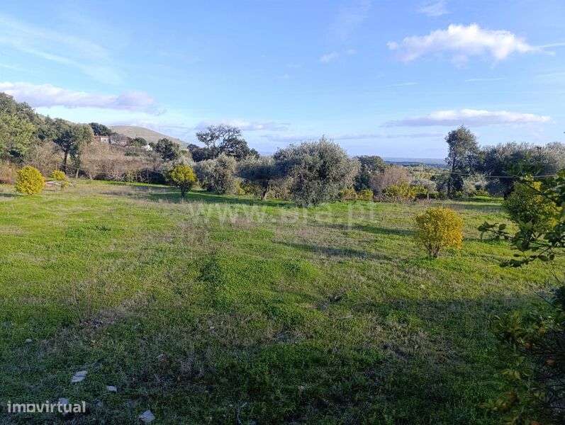 Quinta T1 / Fundão, Vale Prazeres - Grande imagem: 3/16