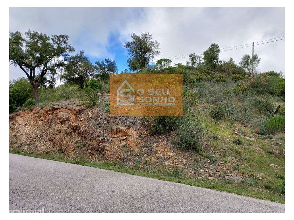 Terreno Rústico em Javali - Grande imagem: 5/9