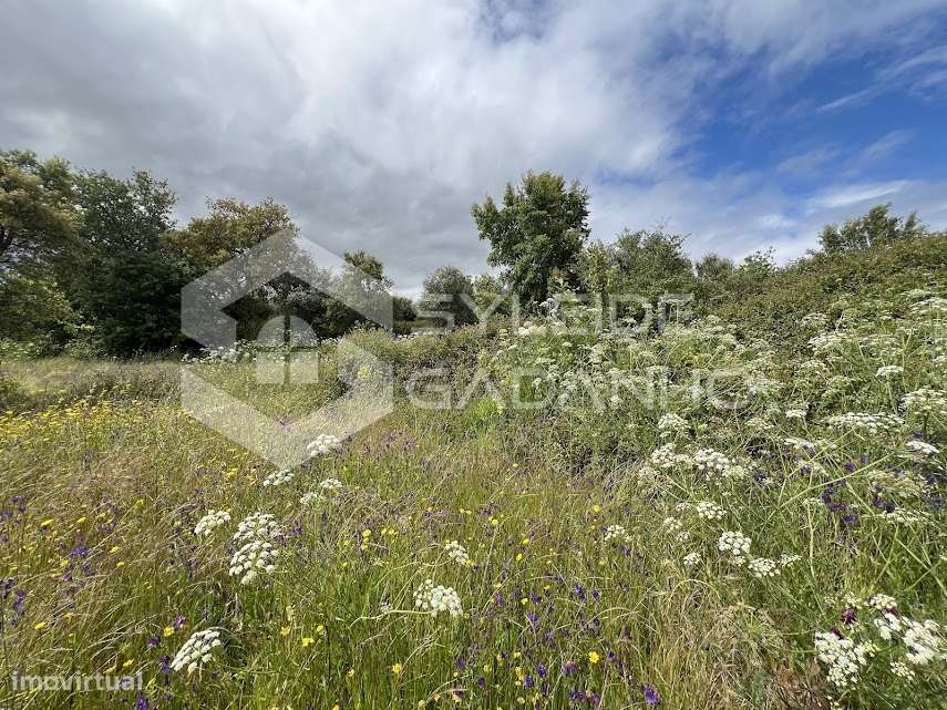 Terreno com casa agrícola para VENDA em São Miguel de Acha-24