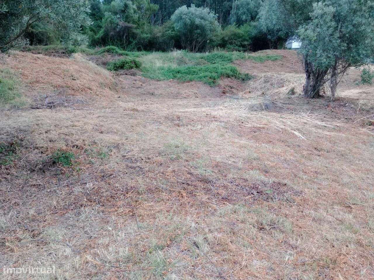 Terreno Urbano com viabilidade para construção em Torre de Vilela - Grande imagem: 4/8