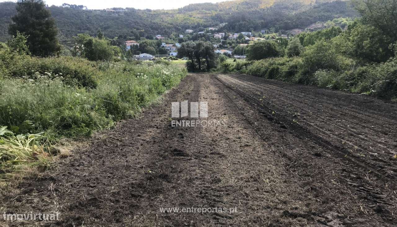 Terreno agrícola para venda, Cristelo, Caminha - Grande imagem: 2/6