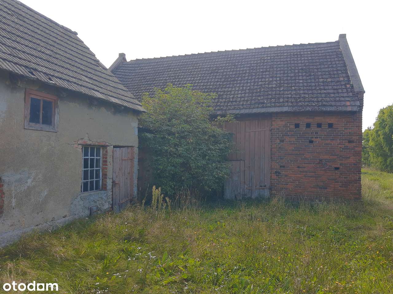 Sprzedam dom w spokojnem okolicy z dużą działką - Pełny obrazek: 4/9