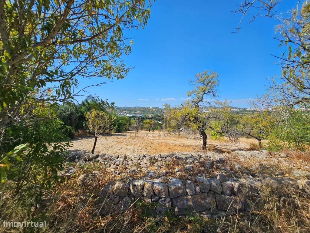 Casa com herdade de 30 mil m2 a sul de Loulé com enorme potencial-13