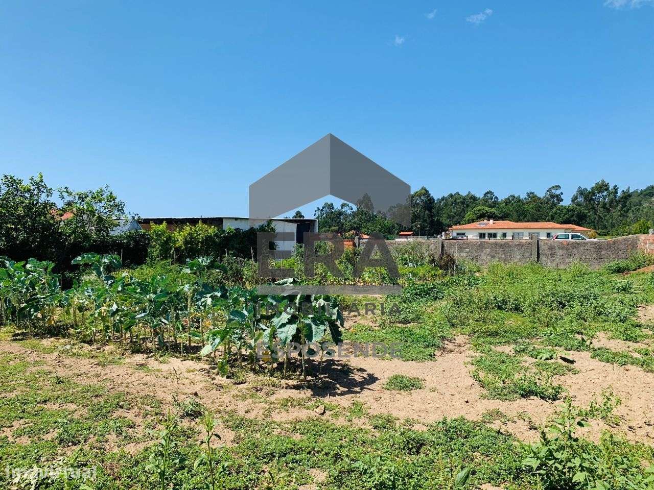 Terreno para construção, Antas, Esposende - Grande imagem: 2/3