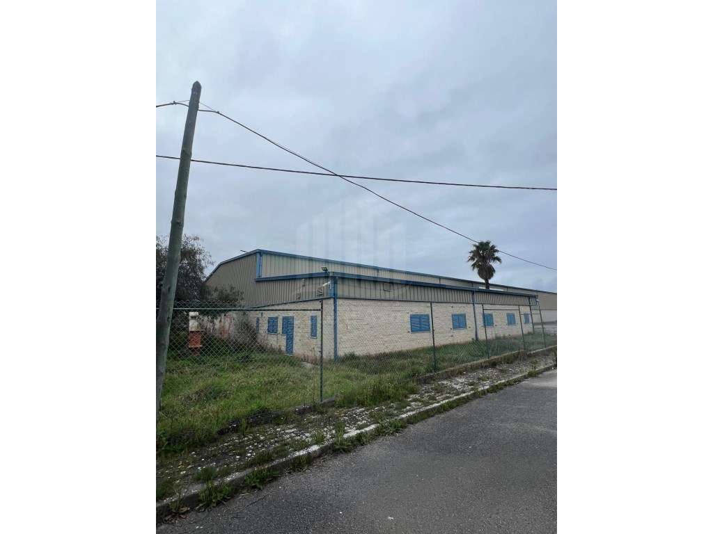 Armazem industrial em Vila Amélia, Quinta do Anjo - Grande imagem: 4/16