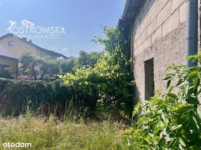 Żuromin/dom/działka 544 m2/ do remontu-8