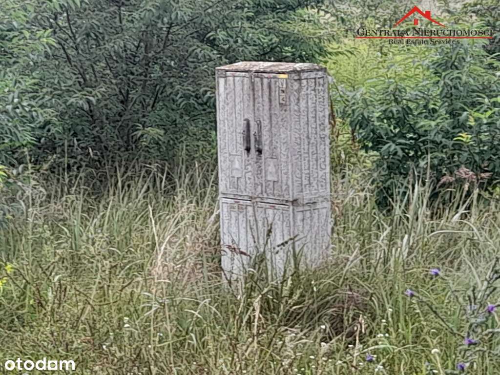 Dwie piękne działki w Gutowie - Pełny obrazek: 5/7