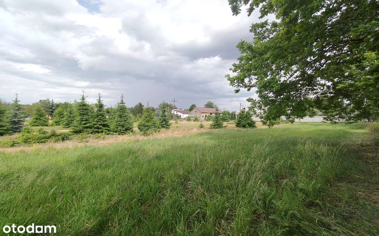 Duża atrakcyjna działka z WZ. - Pełny obrazek: 5/11