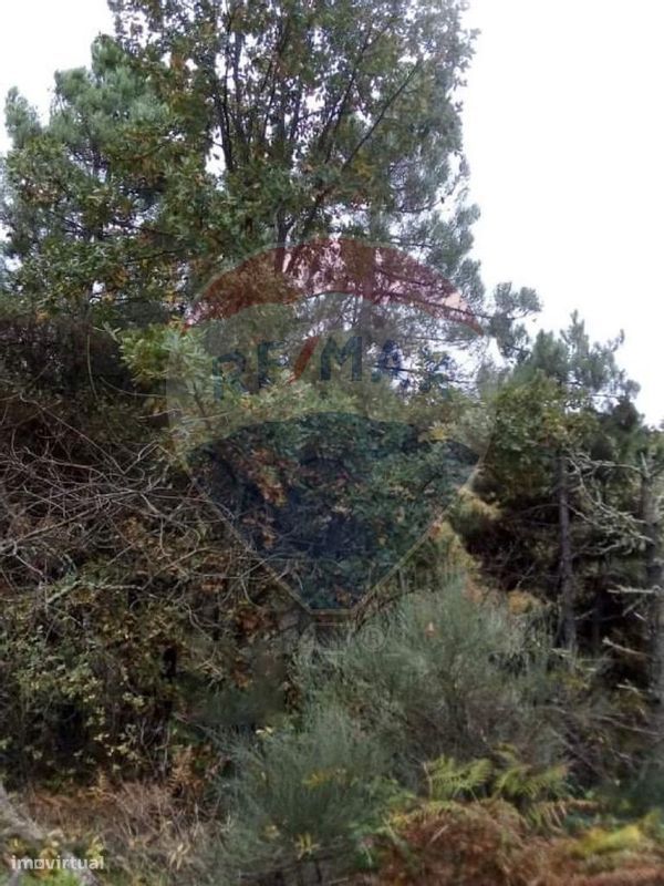 Terreno  para venda - Grande imagem: 1/3